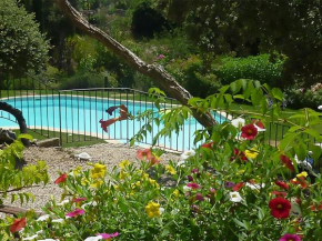 Modern villa with private pool in Roquebrun